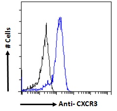 CXCR3 Antibody - Goat Anti-CXCR3 / GPR9 Antibody Flow cytometric analysis of paraformaldehyde fixed HepG2 cells (blue line), permeabilized with 0.5% Triton. Primary incubation 1hr (10ug/ml) followed by Alexa Fluor 488 secondary antibody (1ug/ml). IgG control: Unimmunized goat IgG (black line) followed by Alexa Fluor 488 secondary antibody.