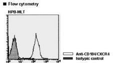 CXCR4 Antibody -  This image was taken for the unconjugated form of this product. Other forms have not been tested.