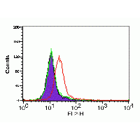 CXCR4 Antibody - Flow cytometry analysis of HeLa cells using CXCR4 antibody at 0.1 µg/ml. Purple: cells without staining, Green: Isotype control. Red : CXCR4 antibody.