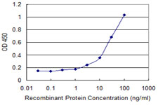 CYB5R3 / B5R Antibody - Detection limit for recombinant GST tagged CYB5R3 is 1 ng/ml as a capture antibody.
