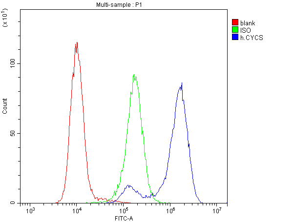 CYCS / Cytochrome c Antibody - Flow Cytometry analysis of K562 cells using anti-Cytochrome C antibody. Overlay histogram showing K562 cells stained with anti-Cytochrome C antibody (Blue line). The cells were blocked with 10% normal goat serum. And then incubated with mouse anti-Cytochrome C Antibody (µg/10E6 cells) for 30 min at 20°C. DyLight®488 conjugated goat anti-mouse IgG (5-10µg/10E6 cells) was used as secondary antibody for 30 minutes at 20°C. Isotype control antibody (Green line) was mouse IgG (1µg/10E6 cells) used under the same conditions. Unlabelled sample (Red line) was also used as a control.