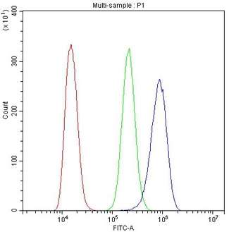 CYCS / Cytochrome c Antibody - Flow Cytometry analysis of A431 cells using anti-Cytochrome C antibody. Overlay histogram showing A431 cells stained with anti-Cytochrome C antibody (Blue line). The cells were blocked with 10% normal goat serum. And then incubated with mouse anti-Cytochrome C Antibody (µg/10E6 cells) for 30 min at 20°C. DyLight®488 conjugated goat anti-mouse IgG (5-10µg/10E6 cells) was used as secondary antibody for 30 minutes at 20°C. Isotype control antibody (Green line) was mouse IgG (1µg/10E6 cells) used under the same conditions. Unlabelled sample (Red line) was also used as a control.