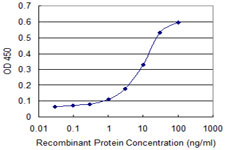 CYGB / Cytoglobin Antibody - Detection limit for recombinant GST tagged CYGB is approximately 1 ng/ml as a capture antibody.