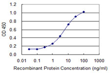CYLC1 Antibody - Detection limit for recombinant GST tagged CYLC1 is 0.1 ng/ml as a capture antibody.