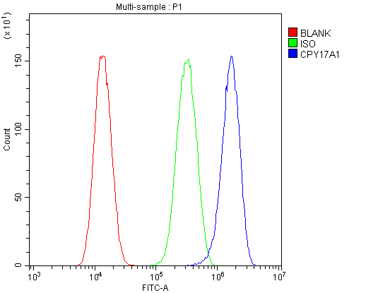 CYP17 / CYP17A1 Antibody - Flow Cytometry analysis of U87 cells using anti-CYP17A1 antibody. Overlay histogram showing U87 cells stained with anti-CYP17A1 antibody (Blue line). The cells were blocked with 10% normal goat serum. And then incubated with rabbit anti-CYP17A1 Antibody (1µg/10E6 cells) for 30 min at 20°C. DyLight®488 conjugated goat anti-rabbit IgG (5-10µg/10E6 cells) was used as secondary antibody for 30 minutes at 20°C. Isotype control antibody (Green line) was rabbit IgG (1µg/10E6 cells) used under the same conditions. Unlabelled sample (Red line) was also used as a control.