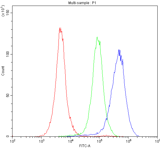 CYP1A1 Antibody - Flow Cytometry analysis of CACO-2 cells using anti-CYP1A1 antibody. Overlay histogram showing CACO-2 cells stained with anti-CYP1A1 antibody (Blue line). The cells were blocked with 10% normal goat serum. And then incubated with rabbit anti-CYP1A1 Antibody (1µg/10E6 cells) for 30 min at 20°C. DyLight®488 conjugated goat anti-rabbit IgG (5-10µg/10E6 cells) was used as secondary antibody for 30 minutes at 20°C. Isotype control antibody (Green line) was rabbit IgG (1µg/10E6 cells) used under the same conditions. Unlabelled sample (Red line) was also used as a control.