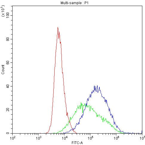 CYP1A1 Antibody - Flow Cytometry analysis of Hela cells using anti-CYP1A1 antibody. Overlay histogram showing Hela cells stained with anti-CYP1A1 antibody (Blue line). The cells were blocked with 10% normal goat serum. And then incubated with rabbit anti-CYP1A1 Antibody (1µg/10E6 cells) for 30 min at 20°C. DyLight®488 conjugated goat anti-rabbit IgG (5-10µg/10E6 cells) was used as secondary antibody for 30 minutes at 20°C. Isotype control antibody (Green line) was rabbit IgG (1µg/10E6 cells) used under the same conditions. Unlabelled sample (Red line) was also used as a control.