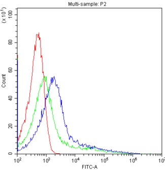CYP1A1 Antibody - Flow Cytometry analysis of K562 cells using anti-CYP1A1 antibody. Overlay histogram showing K562 cells stained with anti-CYP1A1 antibody (Blue line). The cells were blocked with 10% normal goat serum. And then incubated with rabbit anti-CYP1A1 Antibody (1µg/10E6 cells) for 30 min at 20°C. DyLight®488 conjugated goat anti-rabbit IgG (5-10µg/10E6 cells) was used as secondary antibody for 30 minutes at 20°C. Isotype control antibody (Green line) was rabbit IgG (1µg/10E6 cells) used under the same conditions. Unlabelled sample (Red line) was also used as a control.
