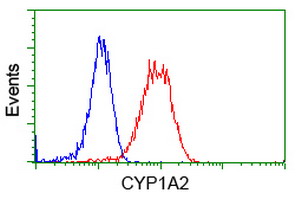 CYP1A2 Antibody - Flow cytometry of Jurkat cells, using anti-CYP1A2 antibody, (Red), compared to a nonspecific negative control antibody, (Blue).