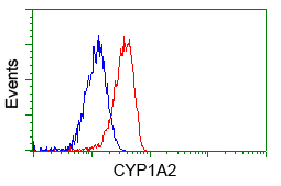 CYP1A2 Antibody - Flow cytometry of Jurkat cells, using anti-CYP1A2 antibody, (Red), compared to a nonspecific negative control antibody, (Blue).