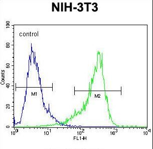 CYP26 / CYP26A1 Antibody - CYP26A1 Antibody flow cytometry of NIH-3T3 cells (right histogram) compared to a negative control cell (left histogram). FITC-conjugated goat-anti-rabbit secondary antibodies were used for the analysis.