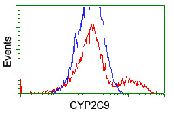 CYP2C9 / Cytochrome P450 2C9 Antibody - HEK293T cells transfected with either overexpress plasmid (Red) or empty vector control plasmid (Blue) were immunostained by anti-CYP2C9 antibody, and then analyzed by flow cytometry.