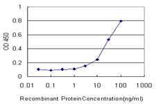 CYP2J2 Antibody - Detection limit for recombinant GST tagged CYP2J2 is approximately 3 ng/ml as a capture antibody.