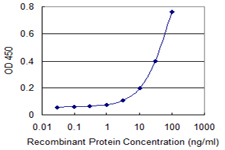 CYP4F3 Antibody - Detection limit for recombinant GST tagged CYP4F3 is 1 ng/ml as a capture antibody.