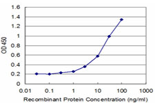 CYP7B1 Antibody - Detection limit for recombinant GST tagged CYP7B1 is approximately 0.3 ng/ml as a capture antibody.