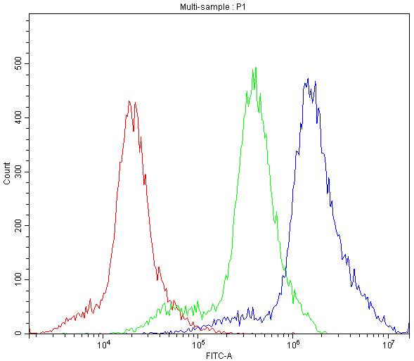 CYPOR / POR Antibody - Flow Cytometry analysis of A549 cells using anti-POR antibody. Overlay histogram showing A549 cells stained with anti-POR antibody (Blue line). The cells were blocked with 10% normal goat serum. And then incubated with rabbit anti-POR Antibody (1µg/10E6 cells) for 30 min at 20°C. DyLight®488 conjugated goat anti-rabbit IgG (5-10µg/10E6 cells) was used as secondary antibody for 30 minutes at 20°C. Isotype control antibody (Green line) was rabbit IgG (1µg/10E6 cells) used under the same conditions. Unlabelled sample (Red line) was also used as a control.