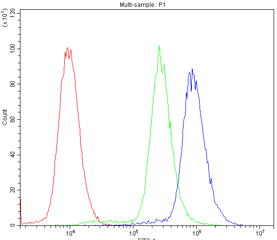 CYPOR / POR Antibody - Flow Cytometry analysis of K562 cells using anti-POR antibody. Overlay histogram showing K562 cells stained with anti-POR antibody (Blue line). The cells were blocked with 10% normal goat serum. And then incubated with rabbit anti-POR Antibody (1µg/10E6 cells) for 30 min at 20°C. DyLight®488 conjugated goat anti-rabbit IgG (5-10µg/10E6 cells) was used as secondary antibody for 30 minutes at 20°C. Isotype control antibody (Green line) was rabbit IgG (1µg/10E6 cells) used under the same conditions. Unlabelled sample (Red line) was also used as a control.