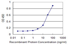CYR61 Antibody - Detection limit for recombinant GST tagged CYR61 is 1 ng/ml as a capture antibody.