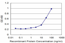 D52 / TPD52 Antibody - Detection limit for recombinant GST tagged TPD52 is approximately 1 ng/ml as a capture antibody.