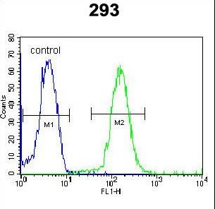 DACT1 / DAPPER Antibody - DACT1 Antibody flow cytometry of 293 cells (right histogram) compared to a negative control cell (left histogram). FITC-conjugated goat-anti-rabbit secondary antibodies were used for the analysis.