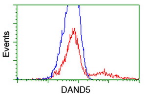 DAND5 Antibody - HEK293T cells transfected with either overexpress plasmid (Red) or empty vector control plasmid (Blue) were immunostained by anti-DAND5 antibody, and then analyzed by flow cytometry.