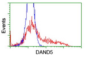 DAND5 Antibody - HEK293T cells transfected with either overexpress plasmid (Red) or empty vector control plasmid (Blue) were immunostained by anti-DAND5 antibody, and then analyzed by flow cytometry.