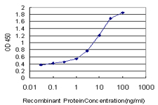 DAO / D Amino Acid Oxidase Antibody - Detection limit for recombinant GST tagged DAO is approximately 0.03 ng/ml as a capture antibody.