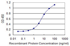 DAP Antibody - Detection limit for recombinant GST tagged DAP is 0.1 ng/ml as a capture antibody.