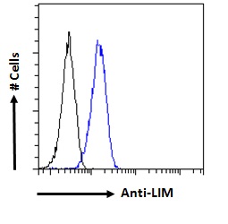 DAT1 / LMO3 Antibody - Goat anti-LIM domain only 3 / lmo3 Antibody Flow cytometric analysis of paraformaldehyde fixed HeLa cells (blue line), permeabilized with 0.5% Triton. Primary incubation 1hr (10ug/ml) followed by Alexa Fluor 488 secondary antibody (1ug/ml). IgG control: Unimmunized goat IgG (black line) followed by Alexa Fluor 488 secondary antibody.