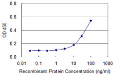DAXX Antibody - Detection limit for recombinant GST tagged DAXX is approximately 1 ng/ml as a capture antibody.