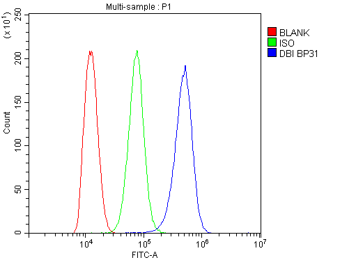 DBI / ACBD1 Antibody - Flow Cytometry analysis of THP-1 cells using anti-DBI antibody. Overlay histogram showing THP-1 cells stained with anti-DBI antibody (Blue line). The cells were blocked with 10% normal goat serum. And then incubated with rabbit anti-DBI Antibody (1µg/10E6 cells) for 30 min at 20°C. DyLight®488 conjugated goat anti-rabbit IgG (5-10µg/10E6 cells) was used as secondary antibody for 30 minutes at 20°C. Isotype control antibody (Green line) was rabbit IgG (1µg/10E6 cells) used under the same conditions. Unlabelled sample (Red line) was also used as a control.