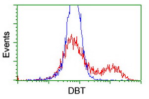 DBT / E2 Antibody - HEK293T cells transfected with either overexpress plasmid (Red) or empty vector control plasmid (Blue) were immunostained by anti-DBT antibody, and then analyzed by flow cytometry.