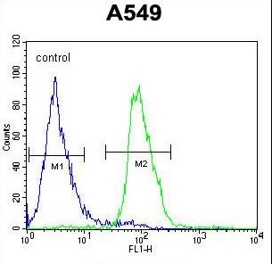 DCAF10 Antibody - WDR32 Antibody flow cytometry of A549 cells (right histogram) compared to a negative control cell (left histogram). FITC-conjugated goat-anti-rabbit secondary antibodies were used for the analysis.