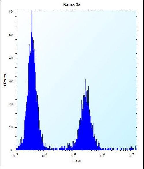 DCBLD2 Antibody - DCBLD2 Antibody flow cytometry of Neuro-2a cells (right histogram) compared to a negative control cell (left histogram). FITC-conjugated donkey-anti-rabbit secondary antibodies were used for the analysis.