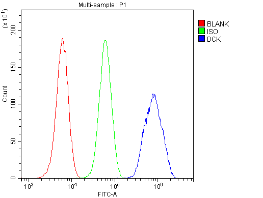 DCK / Deoxycytidine kinase Antibody - Flow Cytometry analysis of U20S cells using anti-DCK antibody. Overlay histogram showing U20S cells stained with anti-DCK antibody (Blue line). The cells were blocked with 10% normal goat serum. And then incubated with rabbit anti-DCK Antibody (1µg/10E6 cells) for 30 min at 20°C. DyLight®488 conjugated goat anti-rabbit IgG (5-10µg/10E6 cells) was used as secondary antibody for 30 minutes at 20°C. Isotype control antibody (Green line) was rabbit IgG (1µg/10E6 cells) used under the same conditions. Unlabelled sample (Red line) was also used as a control.
