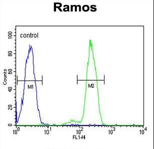 DCP1B Antibody - DCP1B Antibody flow cytometry of Ramos cells (right histogram) compared to a negative control cell (left histogram). FITC-conjugated goat-anti-rabbit secondary antibodies were used for the analysis.