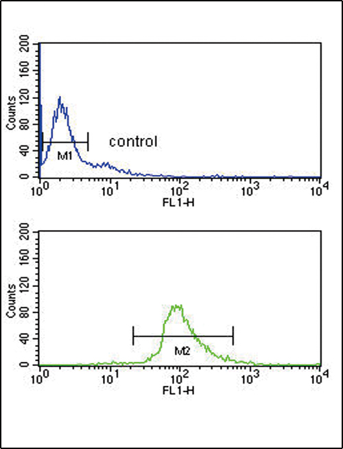 DCT / Dopachrome Tautomerase Antibody - DCT Antibody flow cytometry of Ramos cells (bottom histogram) compared to a negative control cell (top histogram). FITC-conjugated goat-anti-rabbit secondary antibodies were used for the analysis.