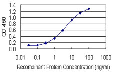 DDH / AKR1C1 Antibody - Detection limit for recombinant GST tagged AKR1C1 is 0.1 ng/ml as a capture antibody.