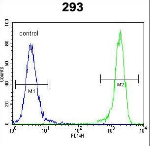 DDIT3 / CHOP Antibody - DDIT3 Antibody (C-term A135) flow cytometry of 293 cells (right histogram) compared to a negative control cell (left histogram). FITC-conjugated goat-anti-rabbit secondary antibodies were used for the analysis.