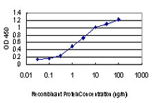 DDIT3 / CHOP Antibody - Detection limit for recombinant GST tagged DDIT3 is approximately 0.03 ng/ml as a capture antibody.