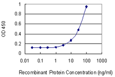 DDOST / OST48 Antibody - Detection limit for recombinant GST tagged DDOST is 1 ng/ml as a capture antibody.