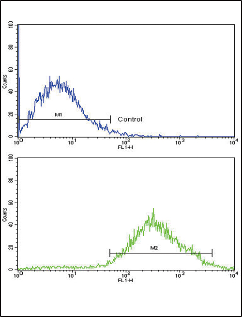 DDR2 Antibody - Flow cytometric of Jurkat cells using TYRO10 Antibody(bottom histogram) compared to a negative control cell (top histogram). FITC-conjugated goat-anti-rabbit secondary antibodies were used for the analysis.