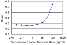 DDX11 / CHLR1 Antibody - Detection limit for recombinant GST tagged DDX11 is 3 ng/ml as a capture antibody.