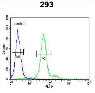 DDX23 / PRP28 Antibody - DDX23 Antibody flow cytometry of 293 cells (right histogram) compared to a negative control cell (left histogram). FITC-conjugated goat-anti-rabbit secondary antibodies were used for the analysis.