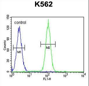 DDX27 Antibody - DDX27 Antibody flow cytometry of K562 cells (right histogram) compared to a negative control cell (left histogram). FITC-conjugated goat-anti-rabbit secondary antibodies were used for the analysis.