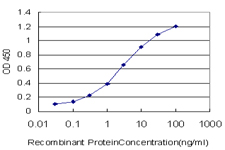 DDX3Y Antibody - Detection limit for recombinant GST tagged DDX3Y is approximately 0.1 ng/ml as a capture antibody.