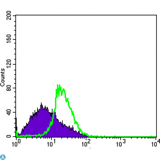 DDX4 / VASA Antibody - Flow cytometric (FCM) analysis of MSCS cells using DDX4 Monoclonal Antibody (green) and negative control (purple).