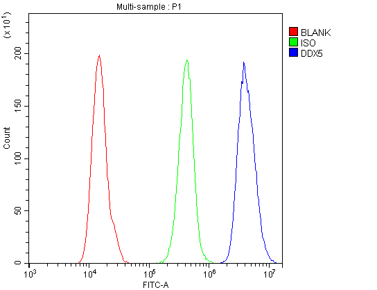 DDX5 Antibody - Flow Cytometry analysis of A431 cells using anti-DDX5 antibody. Overlay histogram showing A431 cells stained with anti-DDX5 antibody (Blue line). The cells were blocked with 10% normal goat serum. And then incubated with rabbit anti-DDX5 Antibody (1µg/10E6 cells) for 30 min at 20°C. DyLight®488 conjugated goat anti-rabbit IgG (5-10µg/10E6 cells) was used as secondary antibody for 30 minutes at 20°C. Isotype control antibody (Green line) was rabbit IgG (1µg/10E6 cells) used under the same conditions. Unlabelled sample (Red line) was also used as a control.