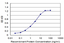 DDX56 Antibody - Detection limit for recombinant GST tagged DDX56 is approximately 0.1 ng/ml as a capture antibody.