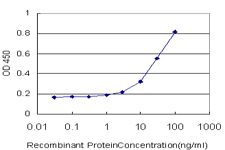 DEC-205 / CD205 / LY75 Antibody - Detection limit for recombinant GST tagged LY75 is approximately 3 ng/ml as a capture antibody.